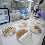 Future Food Trends: Lab-Grown and Alternative Proteins in Gluten-Free (2026)